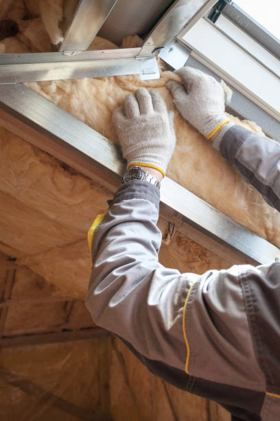 Best Geographic-Specific Insulation Services in Windermere, FL