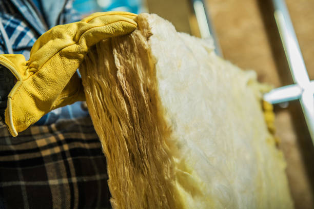 Best Insulation for Specific Applications in Windermere, FL