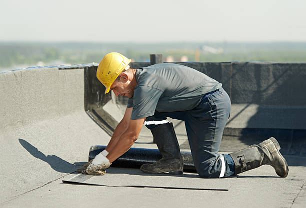 Best Residential Insulation in Windermere, FL
