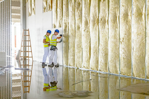 Best Blown-in Insulation in Windermere, FL